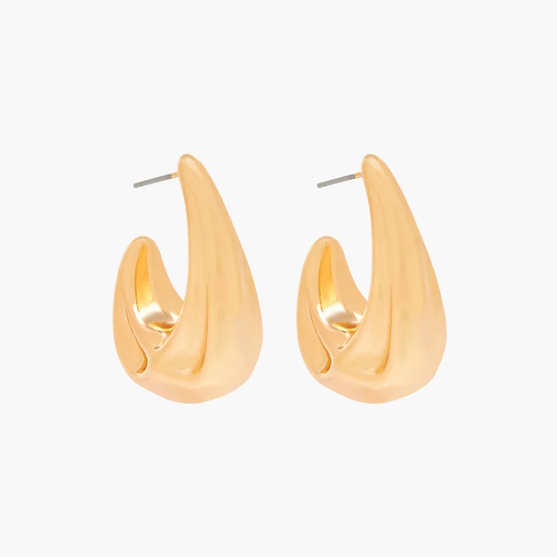 Lifestyle Gold Tone Hoop Earrings for Women
